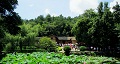 長(zhǎng)沙出發(fā)到花明樓、韶山、張家界國(guó)家森林公園、天門(mén)仙山國(guó)家森林公園四日游